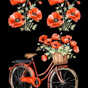 Transfer bicicleta