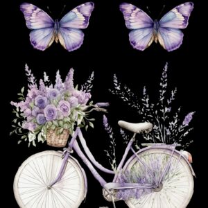 Transfer bici lavandas