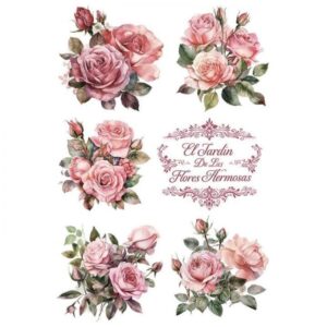 Transfer El jardin..