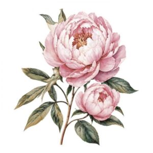Trasnfer flor