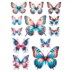 Transfer mariposas